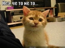 Депутати не хочуть розбиратися з «Буратіно» Депутати не хочуть розбиратися з «Буратіно»