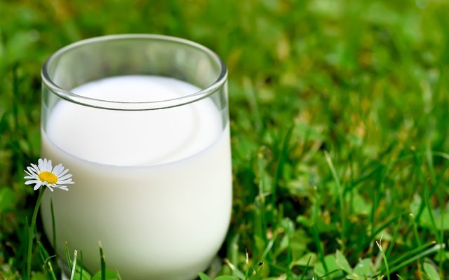 Азербайджан проинспектирует украинские молочные предприятия