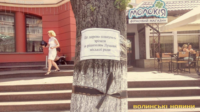 13579982_988736794575903_194888930_o%20%