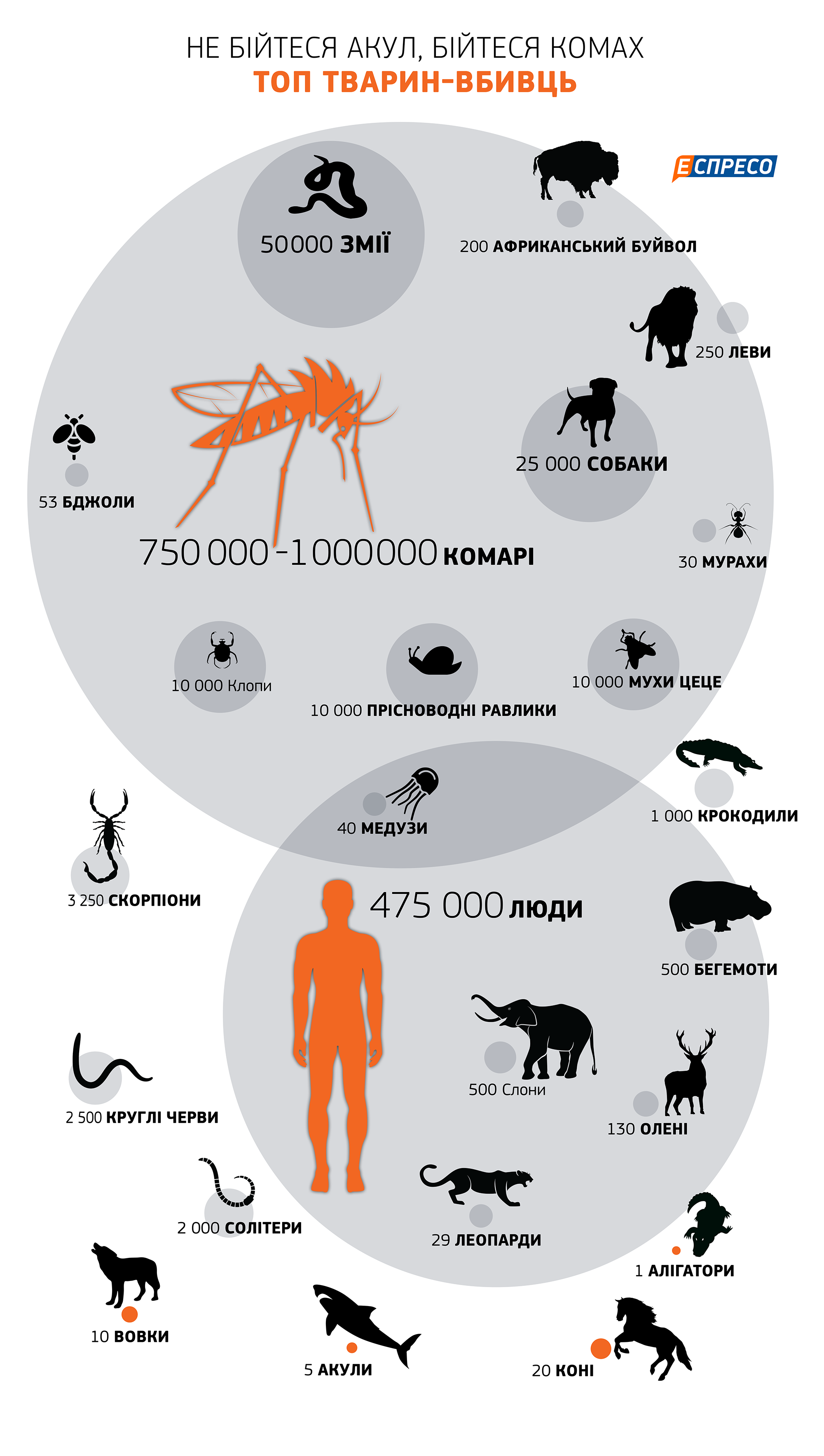 Охотники убивают животных. Статистика нападения животных. Статистика смертей от животных. Каких животных убивают больше всего. Какое животное убивает больше всего людей в год в мире.