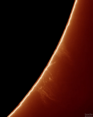 Коронарний дощ