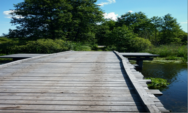 Урочище «Красні мости»