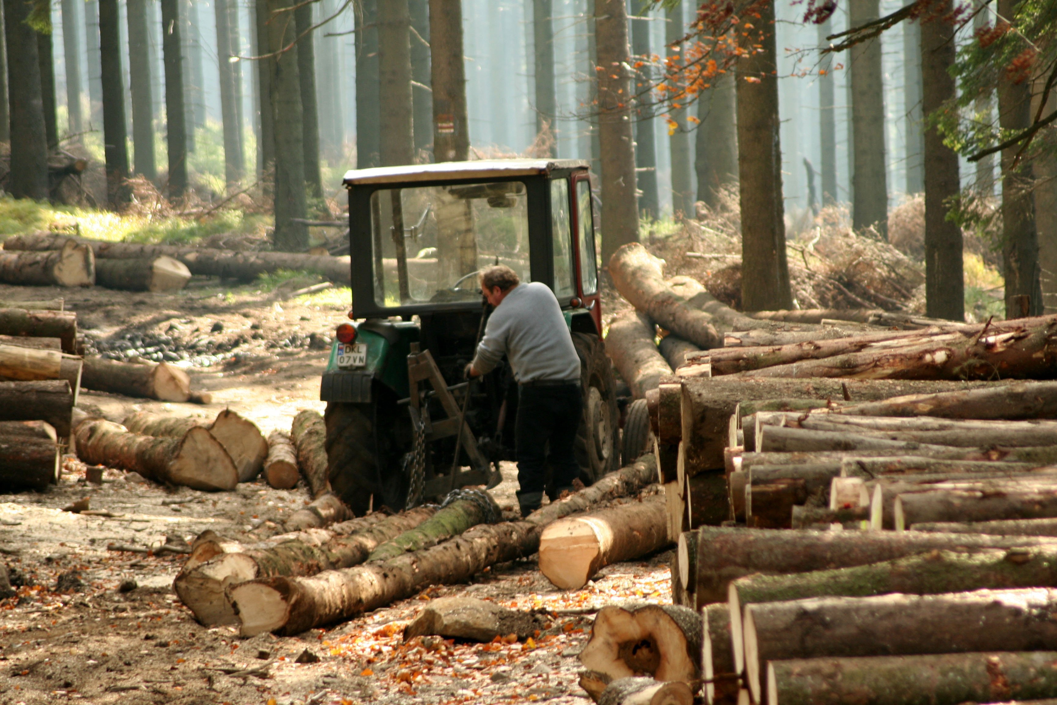 Труд людей в лесу. Вырубка лесов. Истребление лесов. Уничтожение лесов. Рубка лесов.