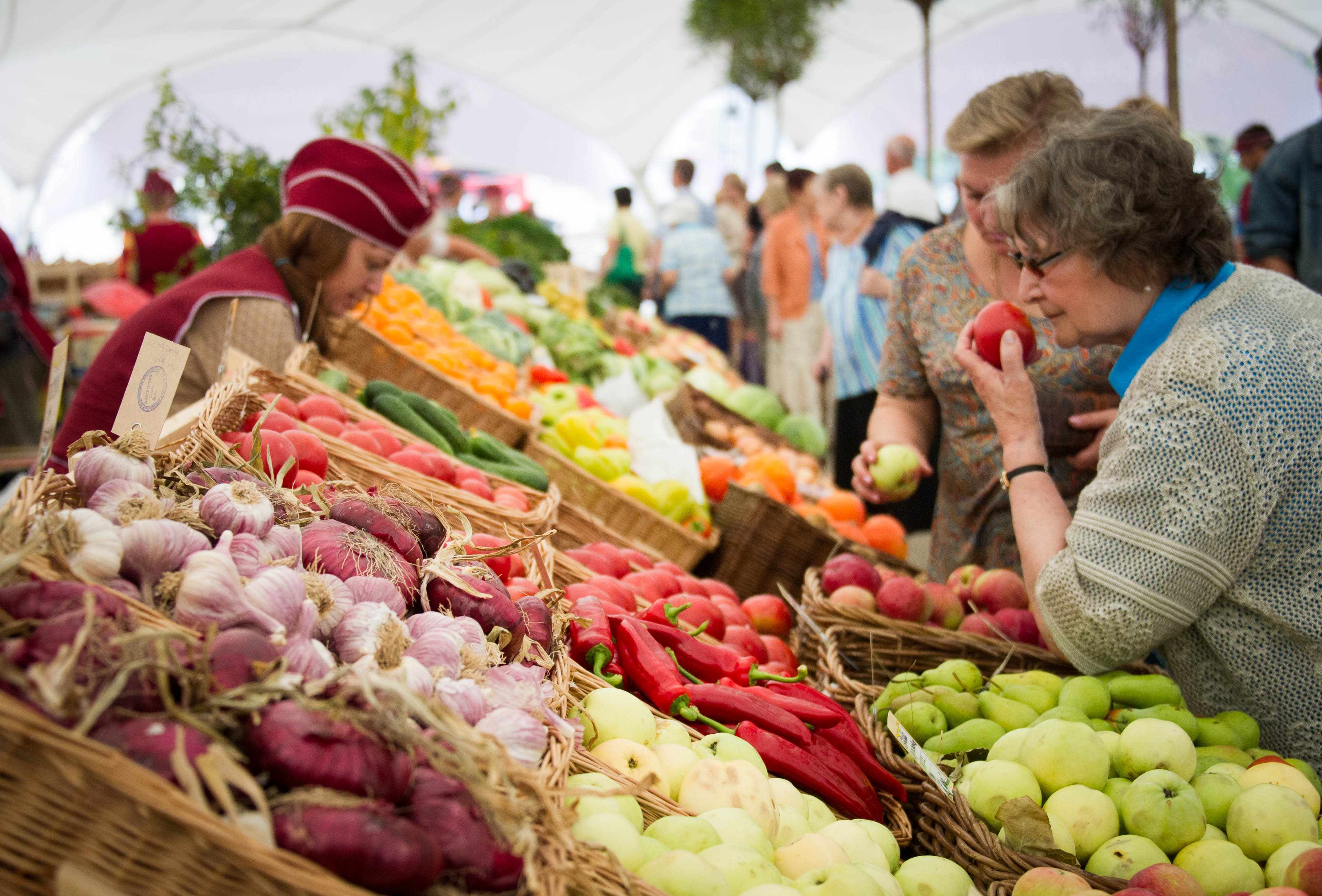 Оперативность и продуктивность: Вьетнам спешит к сотрудничеству с РФ