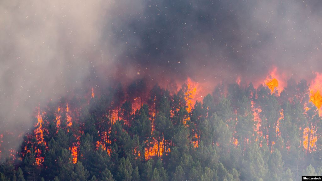 https://www.volynnews.com/files/news/2019/12-09/282127/20E6BF91-BE70-45E3-A653-8041D33625BC_w1023_r1_s.jpg https://www.volynnews.com/files/news/2019/12-09/282127/20E6BF91-BE70-45E3-A653-8041D33625BC_w1023_r1_s.jpg