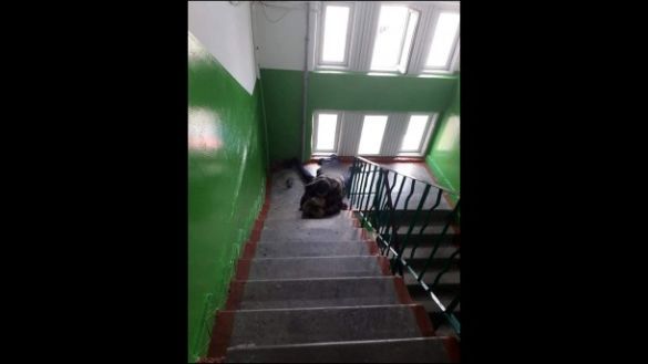 Әкесі мен қызы порно секс оқиғалары