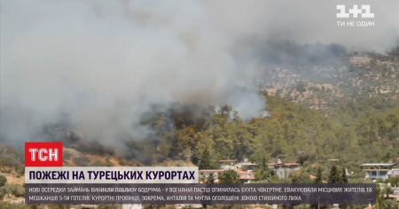 Пожежі у Туреччині: вогонь поширився на нові курорти поблизу Бодрума Пожежі у Туреччині: вогонь поширився на нові курорти поблизу Бодрума
