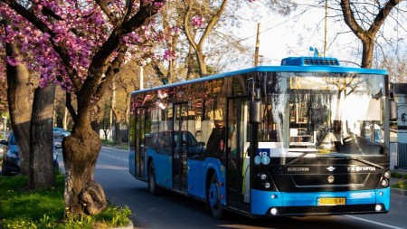 В Ужгороді вартість проїзду у громадському транспорті зросла до 12 грн