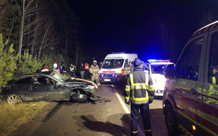 На трасі Київ-Ягодин одразу Skoda та Mersedes-Benz збили лося На трасі Київ-Ягодин одразу Skoda та Mersedes-Benz збили лося