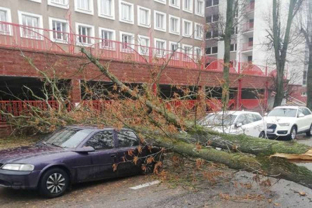 Читати Білорусь накрила негода: сотні повалених дерев та здута вітром новорічна ялинка - volynfeed.com Білорусь накрила негода: сотні повалених дерев та здута вітром новорічна ялинка - volynfeed.com