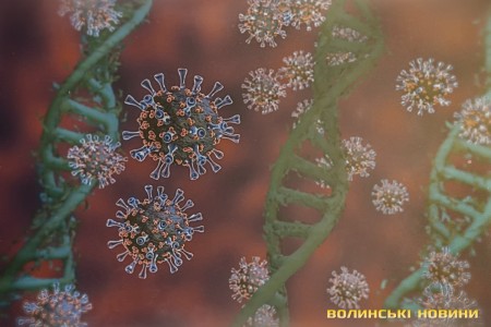В Україні виявили 10569 нових випадків коронавірусу, на Волині – 126 - volynfeed.com