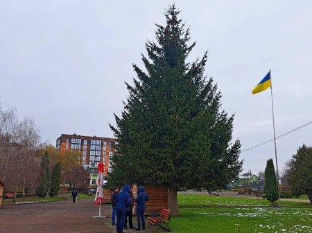 У Володимирі на Новий рік прикрасять ялинку в парку