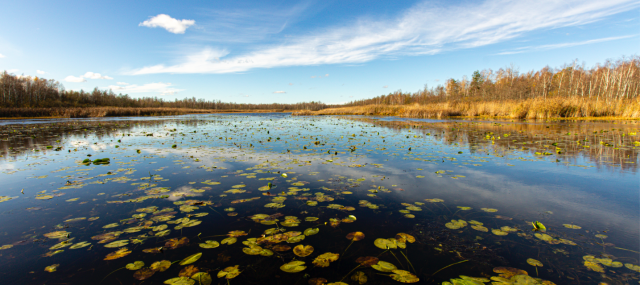 Озеро Луки, Шацький Національний природний парк. Фото: Микола Тимченко 