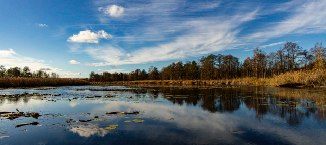 Озеро Перемут, Шацький національний природний парк. Фото: Микола Тимченко