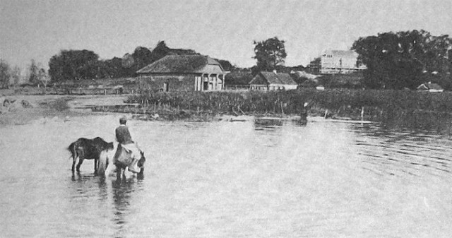 Вигляд Несвіча на початку ХХ століття. Зображення з книги Романа Афтаназі Dzieje rezydencji na dawnych kresach Rzeczypospolitej