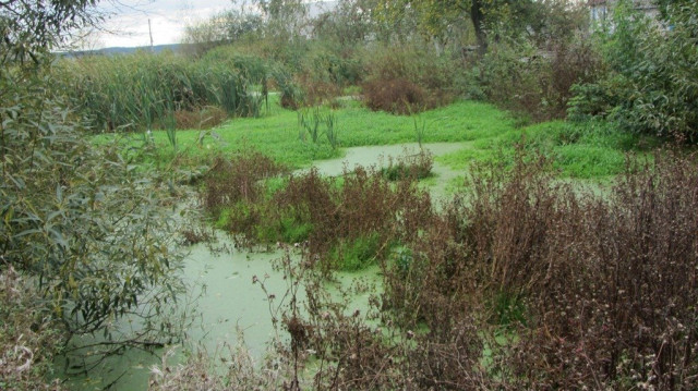 так виглядає сьогодні місце витоку Прип яті