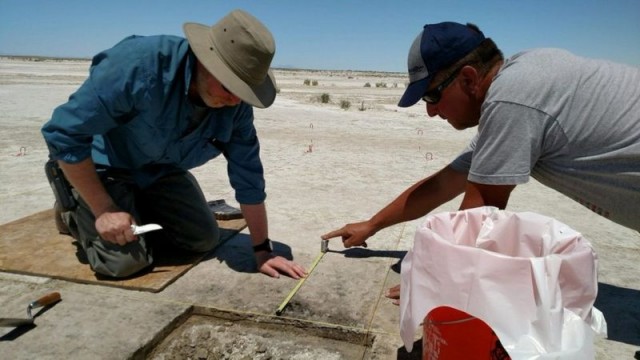 Археологи знайшли насіння у Пустелі Великого Солоного Озера