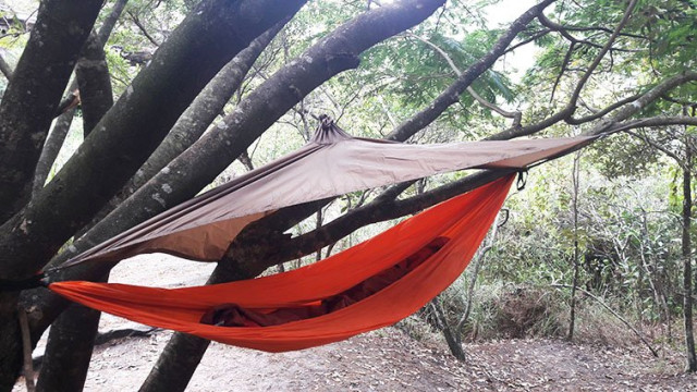 Ніч у гамаку обернулася втратою документів