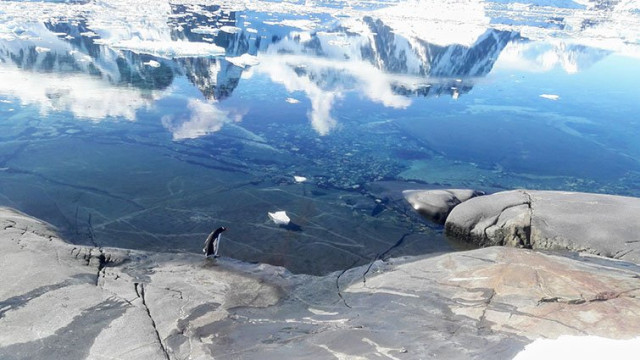  Антарктида не належить нікому, тут є свої правила