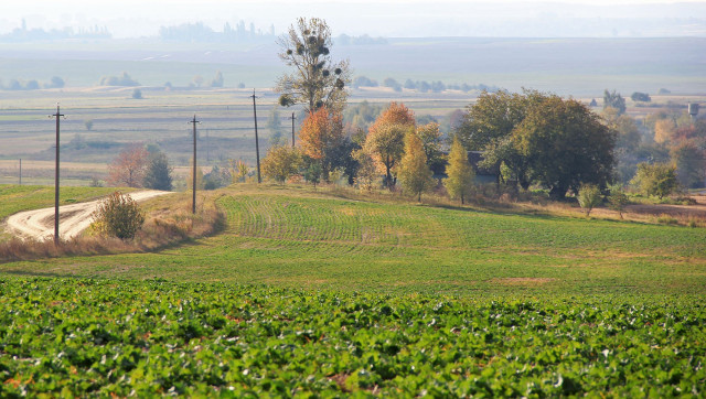 Панорама Гранатова