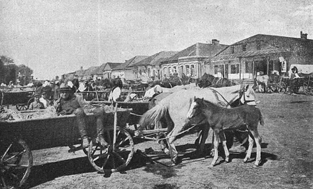 Олика з путівника Орловича