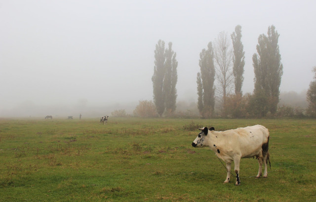 Старий Загорів