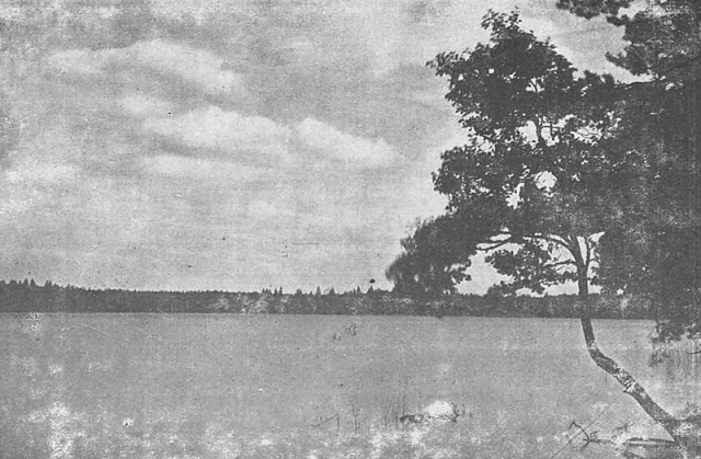 Світязь із путівника Орловича