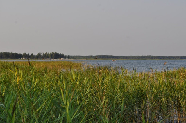 краєвиди озера Пісочне