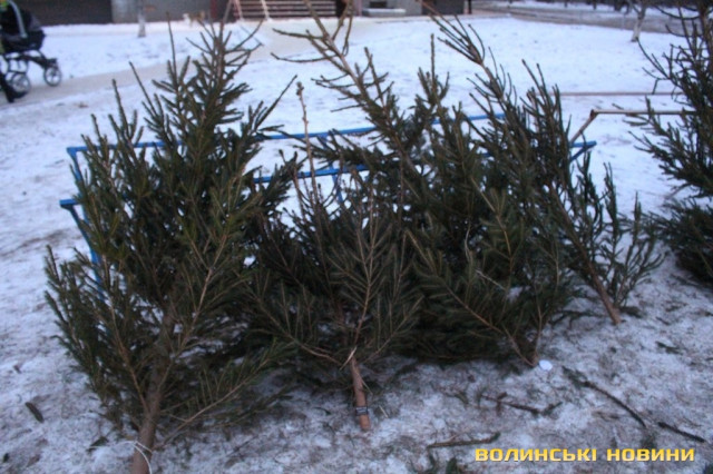 50 та 100 гривень