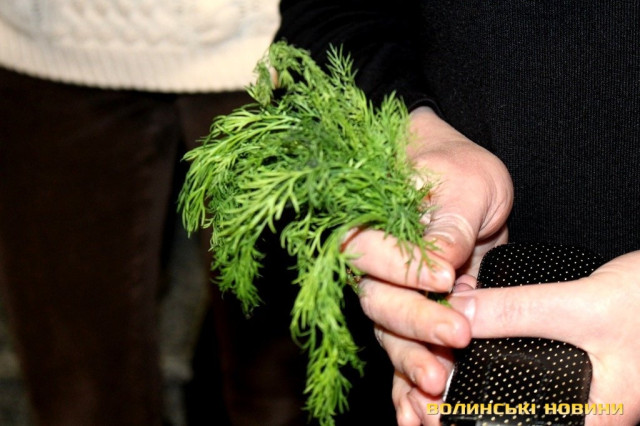 Оберіг від сепаратистів - Укроп