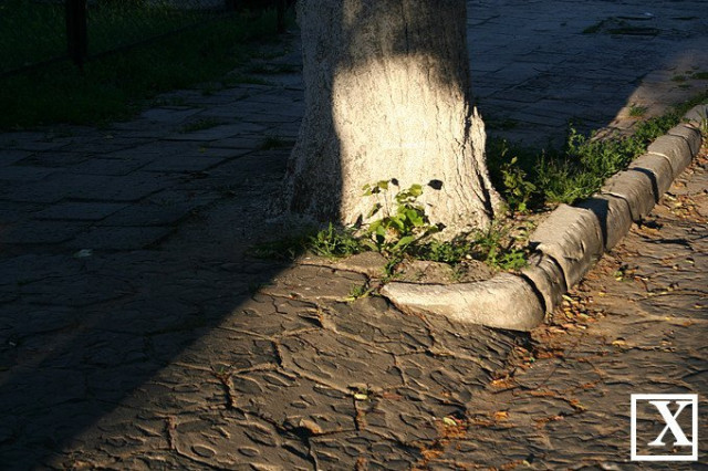 Заокруглені кутові бордюри в Луцьку - культура мощення довоєнного часу. Радянські такими не були. Найімовірніше, виробництво Шеплера, або міської бетонярні. Вулиця Пушкіна. Таких в Луцьку ще немало