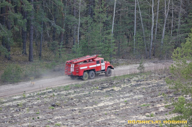 Загорання лісу оперативно гасять