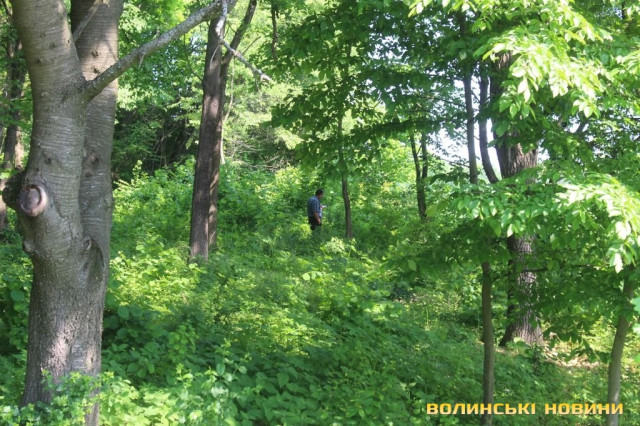 Охороняють Гройсмана навіть зі сторони лісу