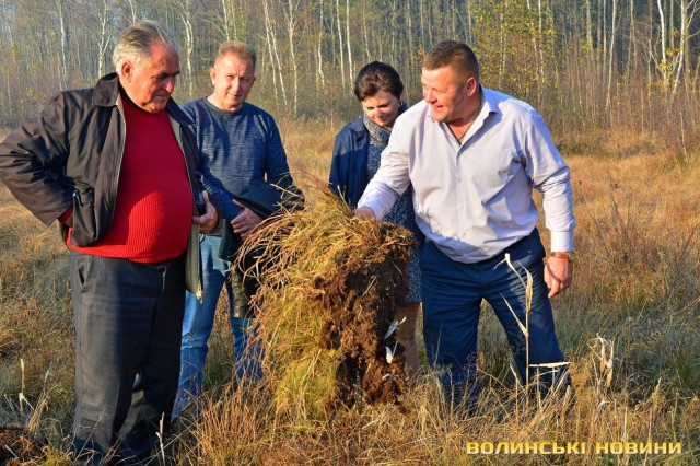 Земля, яку експерти визначили як таку, яка є родючою та придатною для сільськогосподарського використання