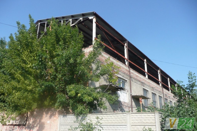 Із двору колишні цехи схожі швидше на закинутий ботанічний сад