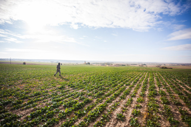 У полях біля Гранатова