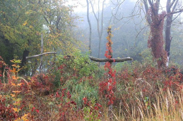 Старе польське кладовище в Конюхах