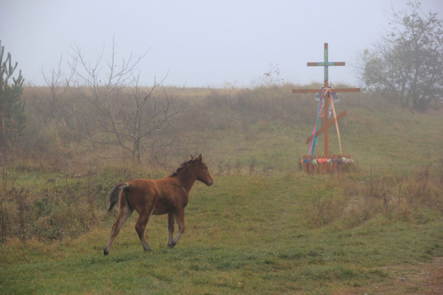 Старий Загорів