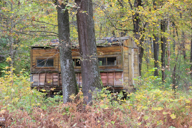 Пересувний вагончик бджолярів в Ішівському лісництві