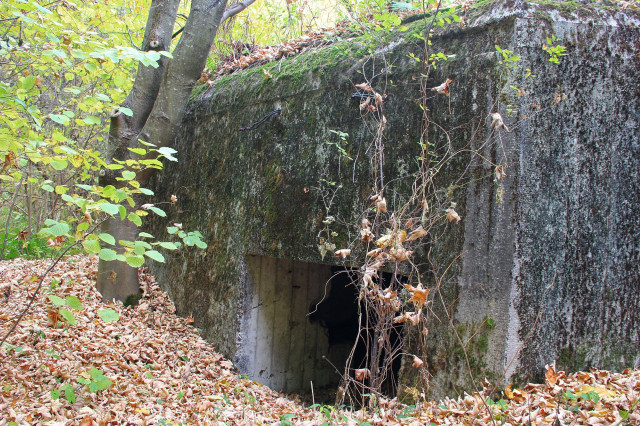 ДОТ біля Ішівського лісництва
