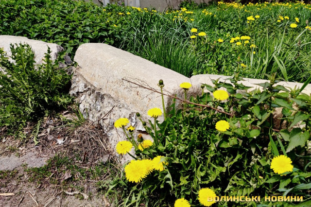 У траві загубилися, здається, ще польські бордюри.