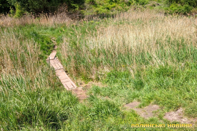 Старі двері ще послужать кладкою.