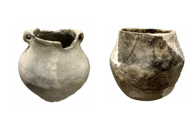 Предмети з розкопок Фітцке