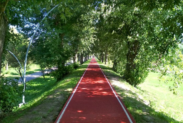 Дамба влітку