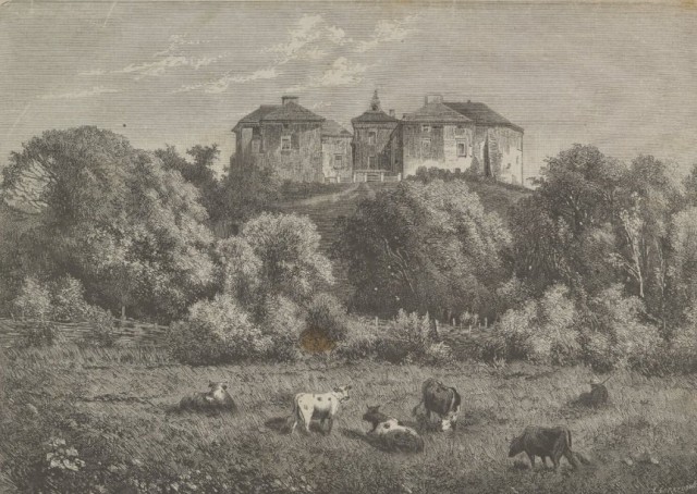 Олеський замок, 1870-ті роки