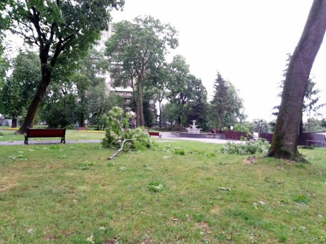 Фото Bodyk Alexeev з Фейсбука