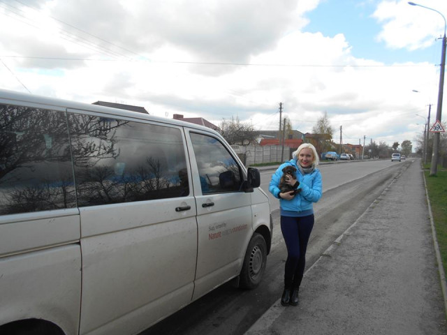 Дана Новарчук