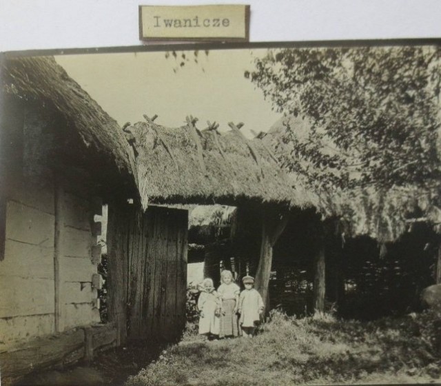 Село Почапи, 1916 р.