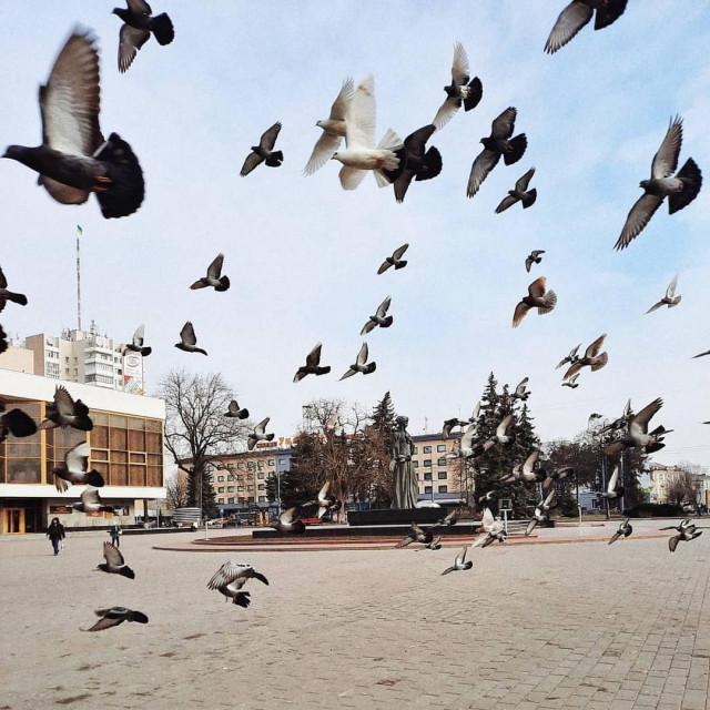 Фото @svitlanka_t