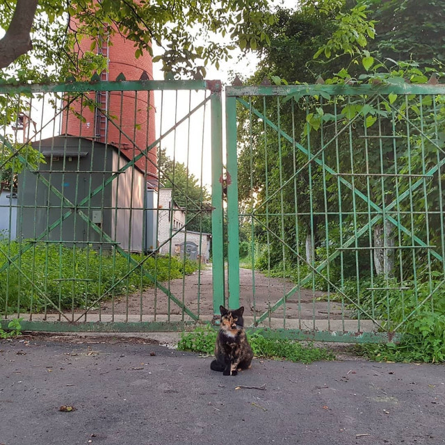 Фото @vitalikaladdin